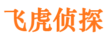 辉南市私家侦探